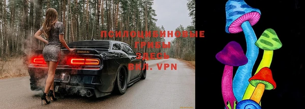 a pvp Верея