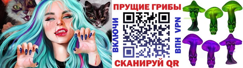 Галлюциногенные грибы ЛСД  MEGA ТОР  Новохопёрск 